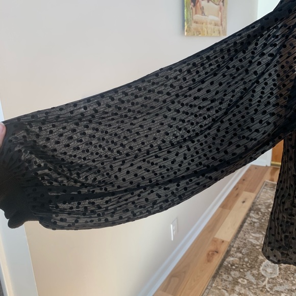 Zara Sheer Mock Neck Balloon Sleeve Top - Picture 4 of 8